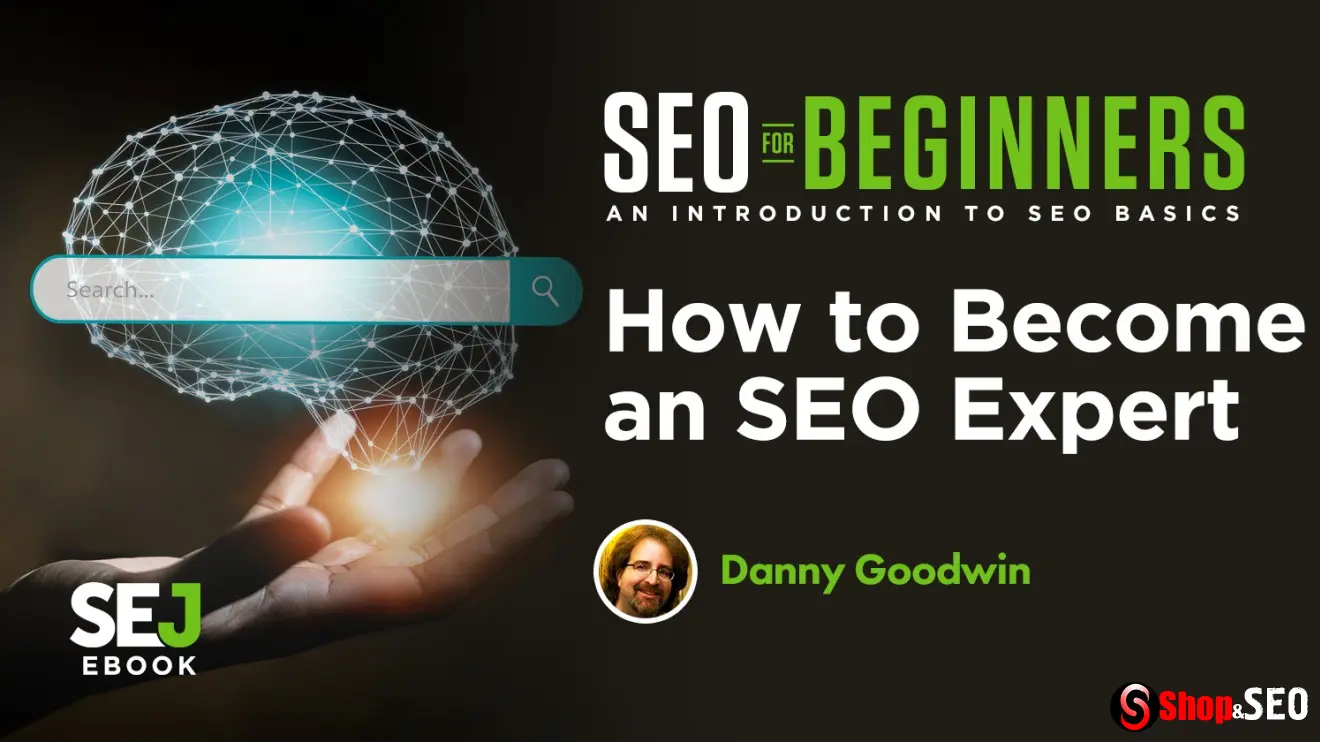 Как стать экспертом SEO