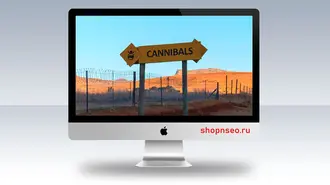 Что такое каннибализация ключевых слов