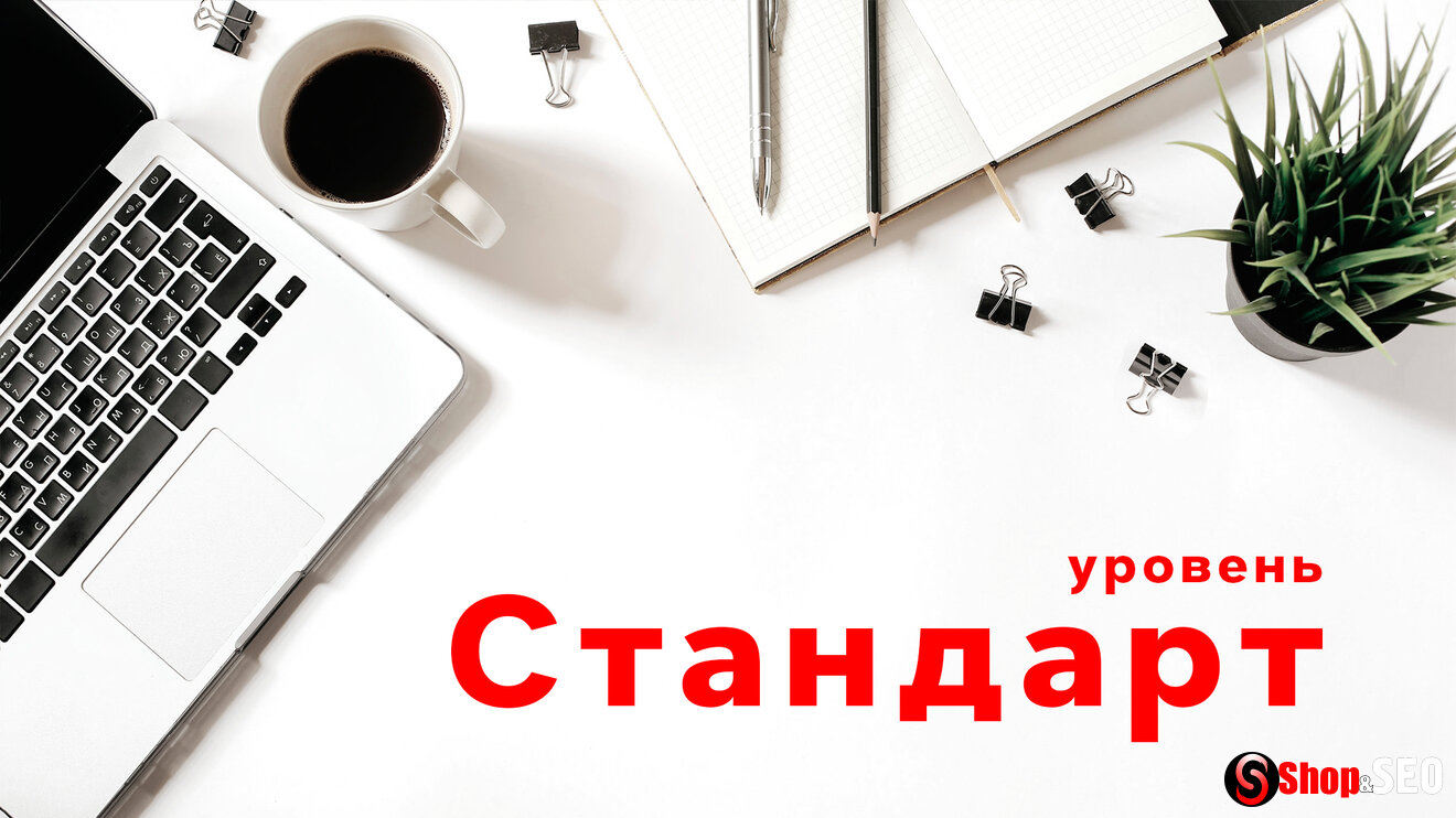 Уровень Стандарт