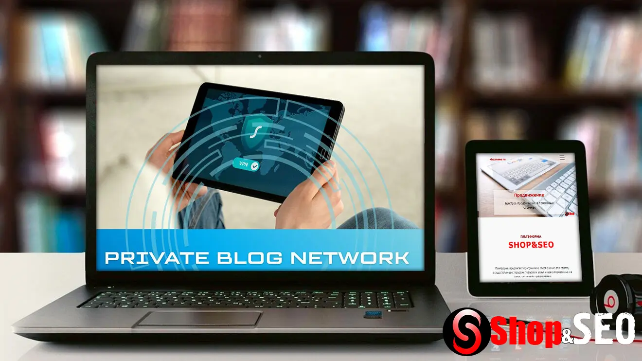 PBN (Private Blog Network)